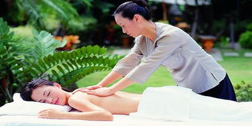 探索特色体验 移动版按摩，现代生活的贴心伴侣